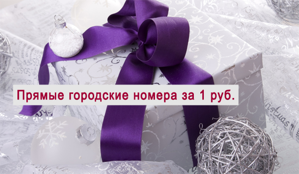 Подключение прямого городского номера всего за 1 руб.